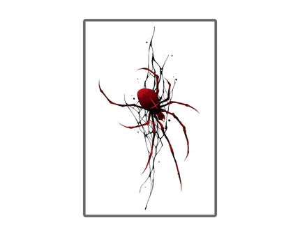Colorful Spider
