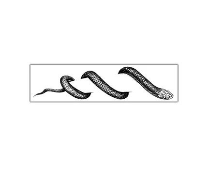 Slithering Snake Line