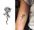 3 pcs Single Line Rose Set