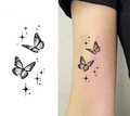 Sparkling Butterfly Duo