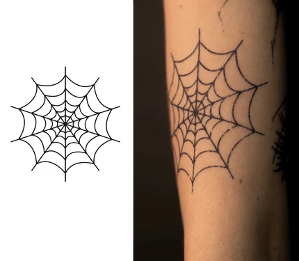 Spider Web