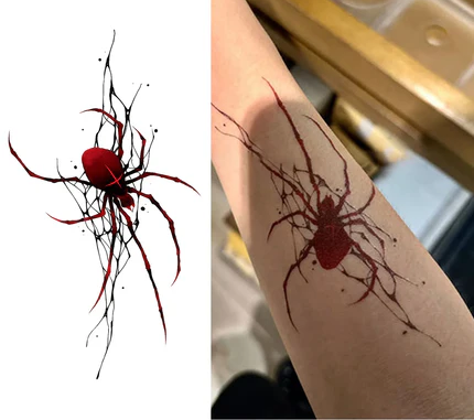 Colorful Spider